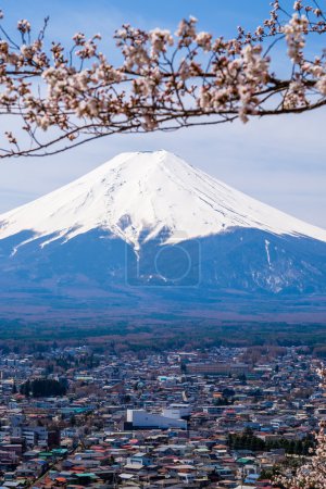 The mount Fuji