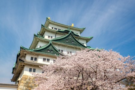 Nagoya castle