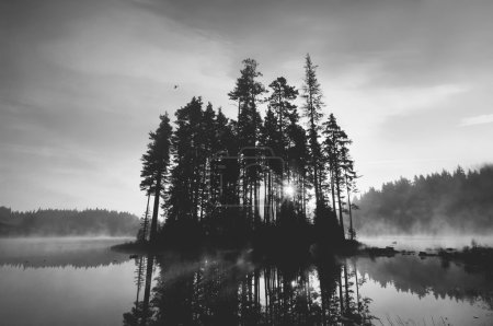 black and white island 