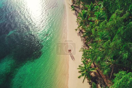 Aerial view of tropical island beach, Dominican Republic