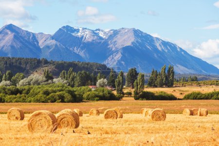 Rural landscapes in Argentina