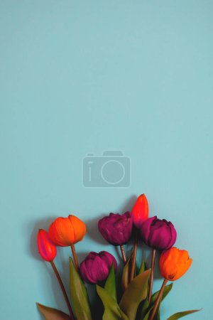 bouquet of tulips on a blue background
