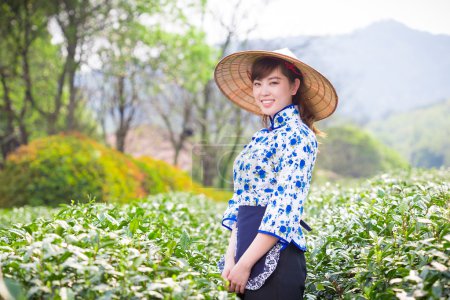 亚洲女孩采摘茶叶