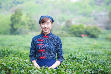 亚洲女孩在绿色茶园工作