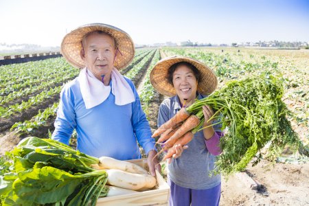 高级对幸福的夫妇农夫用手里的胡萝卜很多