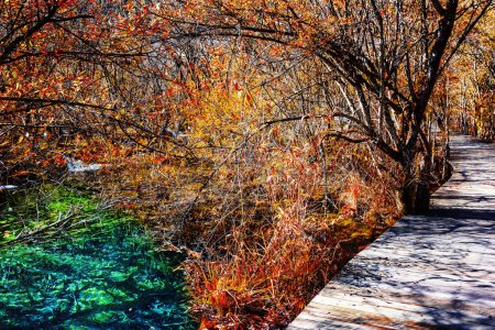 Wooden boardwalk across scenic fall woods along azure lake