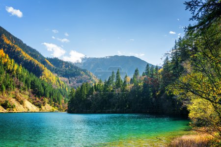 Scenic view of the Arrow Bamboo Lake with azure water