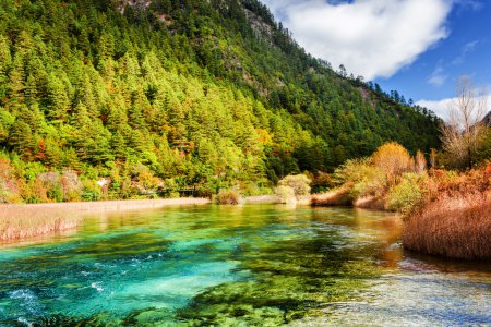 River with azure crystal water among evergreen woods