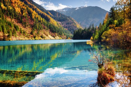 Beautiful view of the Arrow Bamboo Lake with azure water