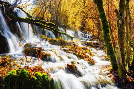 Amazing waterfall with crystal clear water among fall woods