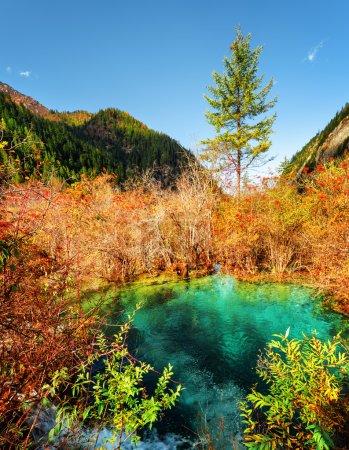 Beautiful pond with emerald water among colorful fall forest