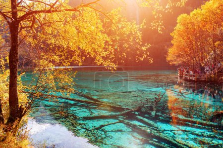 Beautiful view of the Five Flower Lake (Multicolored Lake)