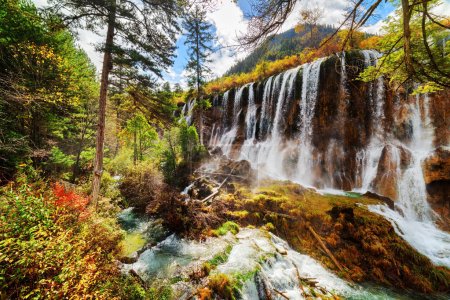 The Nuo Ri Lang Waterfall (Nuorilang) among colorful fall woods