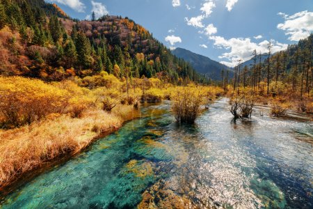 Scenic river with crystal water among fall woods and mountains