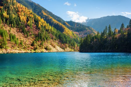 Scenic view of the Arrow Bamboo Lake with azure crystal water