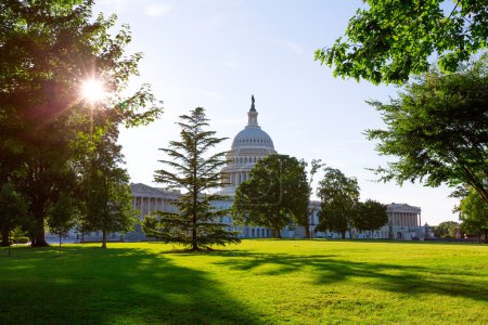 Capitol building Washington DC sunset garden US