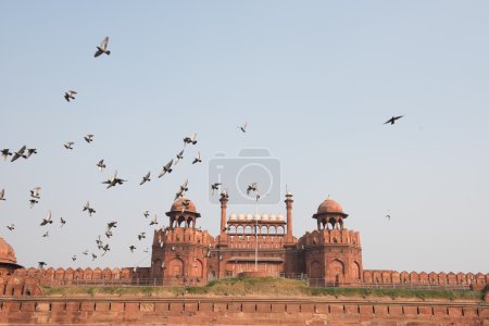 Red Fort View