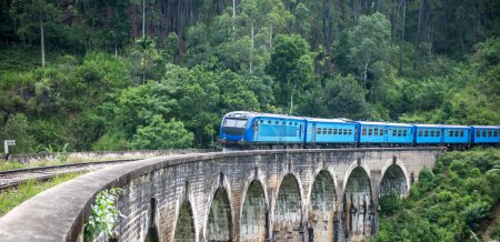 Train passing over Nine Arches