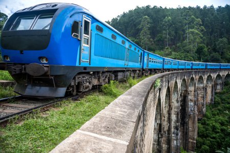 Train passing over Nine Arches