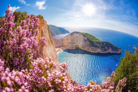 Navagio beach with shipwreck and flowers against sunset, Zakynthos island, Greece