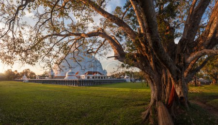 Panorama of Ruwanweliseya big Dagoba