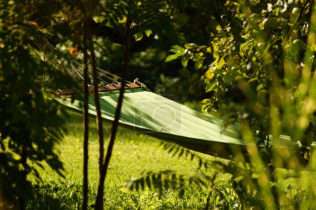 Hammock on tree