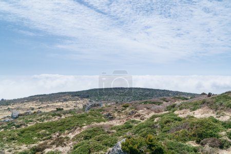 Plateau View from Witse-Oreum in Yeongsil