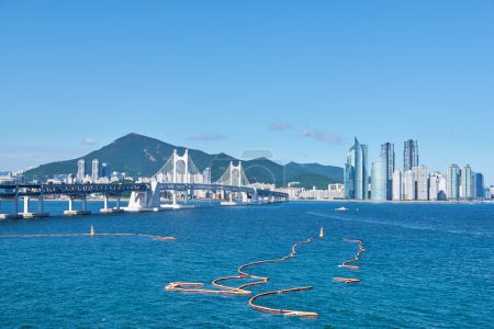 Gwangan Big bridge and Marine City