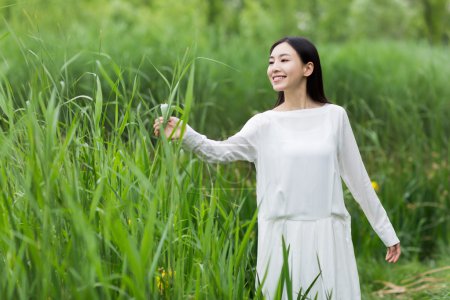 白衣服夏天在芦苇中的女人