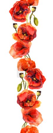无缝复古花纹-垂直条纹框架与复古红色的罂粟花.水彩手绘成图纸