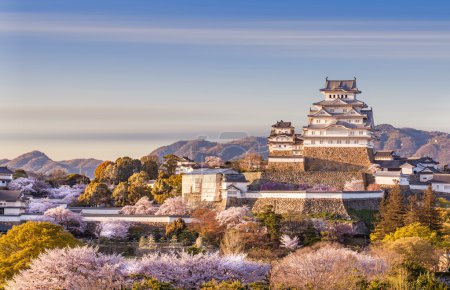 Heron Castle in sakura cherry blossom