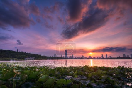 Sunset at Xuanwu Lake in Summer