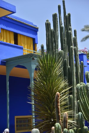 Jardin Majorelle, Marrakesh, Morocco