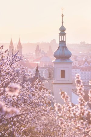 City view of Prague old town, Czech Republic. Red roof tops in the horizon. Church of Our Lady Victorious and The Infant Jesus of Prague Amazing spring A beautiful catholic church among blooming trees