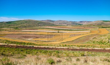 Grassland of Zhangjiakou Hebei China at autumn