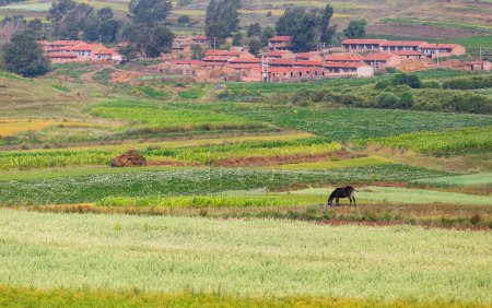 Grassland of Zhangjiakou Hebei China at autumn