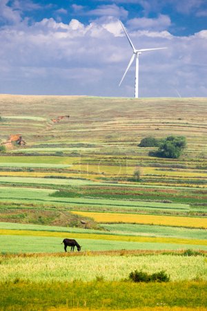 Grassland of Zhangjiakou Hebei China at autumn