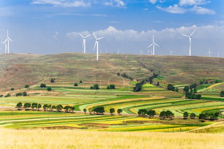 Grassland of Zhangjiakou Hebei China at autumn