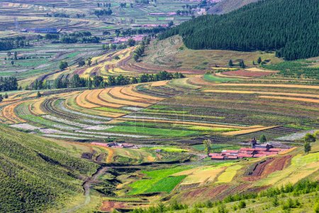 Grassland of Zhangjiakou Hebei China at autumn