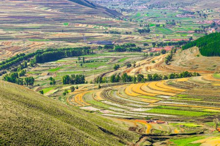 Grassland of Zhangjiakou Hebei China at autumn