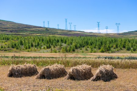 Grassland of Zhangjiakou Hebei China at autumn