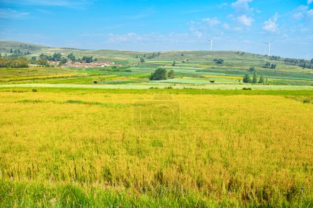 Grassland of Zhangjiakou Hebei China at autumn