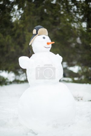 在森林里的搞笑雪人
