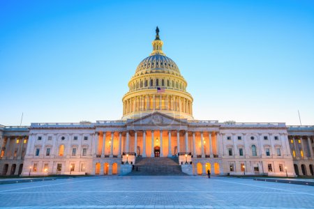 The United States Capitol building 