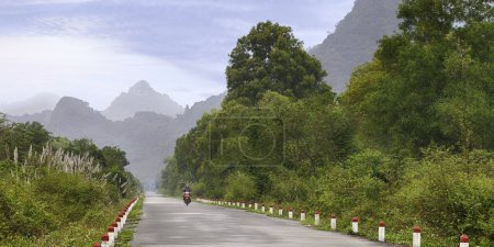 Beautiful tropical road 