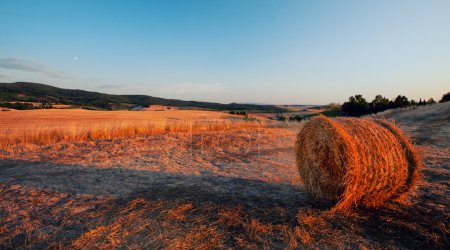 Hay Bales in the Tuscan hills at dusk