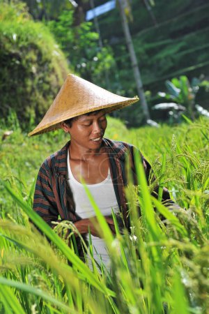 Organic farmer working