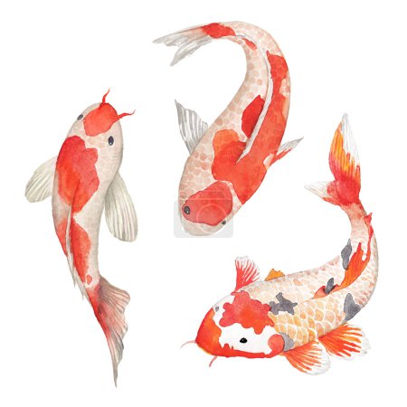 Watercolor oriental rainbow carp set