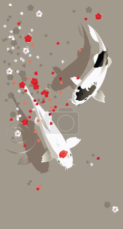 Koi carp