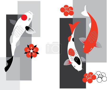 Koi carps